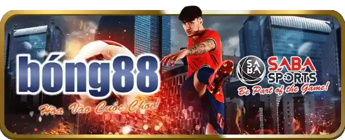 Tầm quan trọng tin tức cá cược